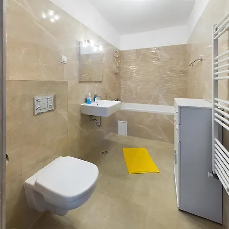 Hulu N.l.41 Apartment Brasov